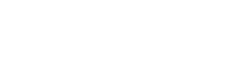WDB logo large